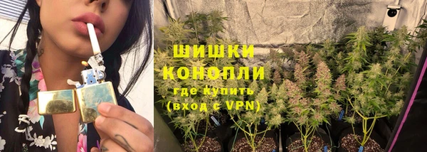 крисы Снежинск
